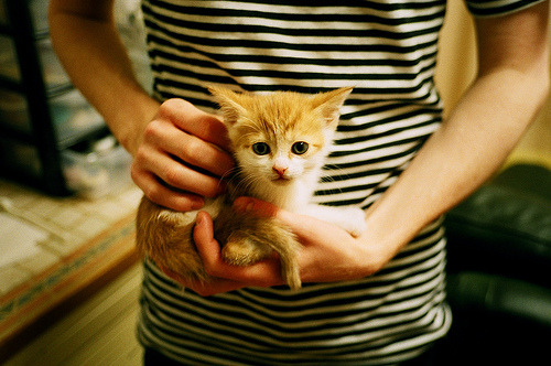 国足替补席战术调整效果，国足主力1_3替补